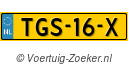 TGS16X