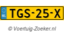 TGS25X