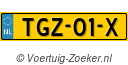 TGZ-01-X