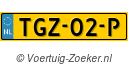 TGZ-02-P