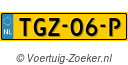 TGZ06P