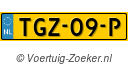 TGZ09P