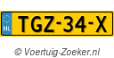TGZ34X