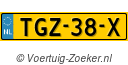 TGZ38X