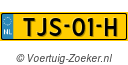 TJS-01-H