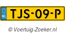 TJS09P