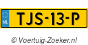 TJS-13-P