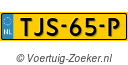 TJS-65-P