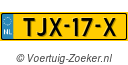 TJX17X