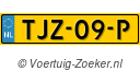 TJZ09P