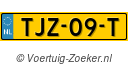 TJZ09T