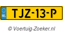 TJZ-13-P