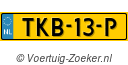 TKB-13-P