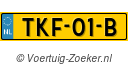 TKF01B