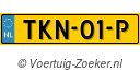 TKN-01-P