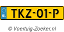 TKZ01P