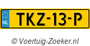 TKZ13P
