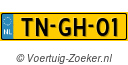 TNGH01