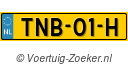 TNB-01-H