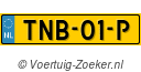 TNB01P