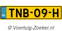 TNB-09-H