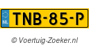 TNB-85-P
