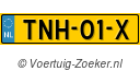 TNH01X