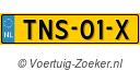 TNS01X