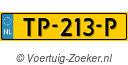 TP213P