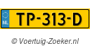 TP313D