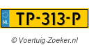 TP313P