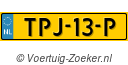 TPJ-13-P