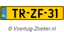 TRZF31