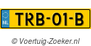 TRB01B