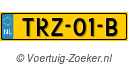 TRZ-01-B