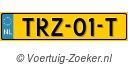 TRZ-01-T