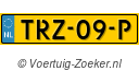 TRZ09P