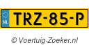 TRZ85P