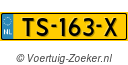 TS163X