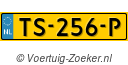 TS256P
