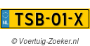 TSB-01-X