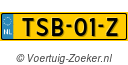 TSB-01-Z