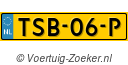 TSB-06-P