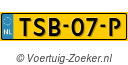 TSB-07-P