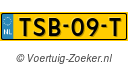 TSB-09-T