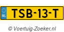 TSB-13-T