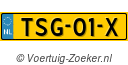 TSG01X