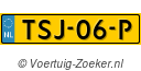 TSJ-06-P