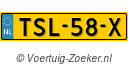 TSL58X