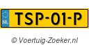 TSP-01-P